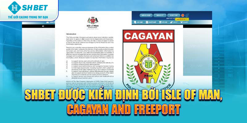 Banner www.vietinvoice.vn