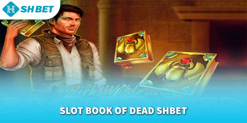 Banner www.vietinvoice.vn